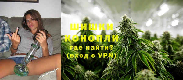 крисы Корсаков