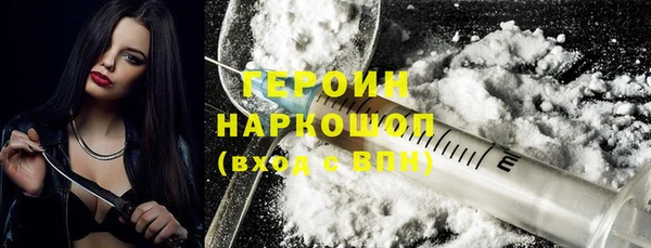крисы Корсаков