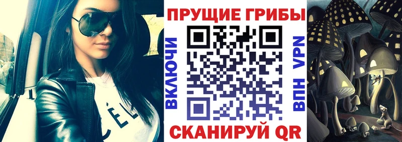 купить  сайты  Котлас  Псилоцибиновые грибы MAGIC MUSHROOMS 