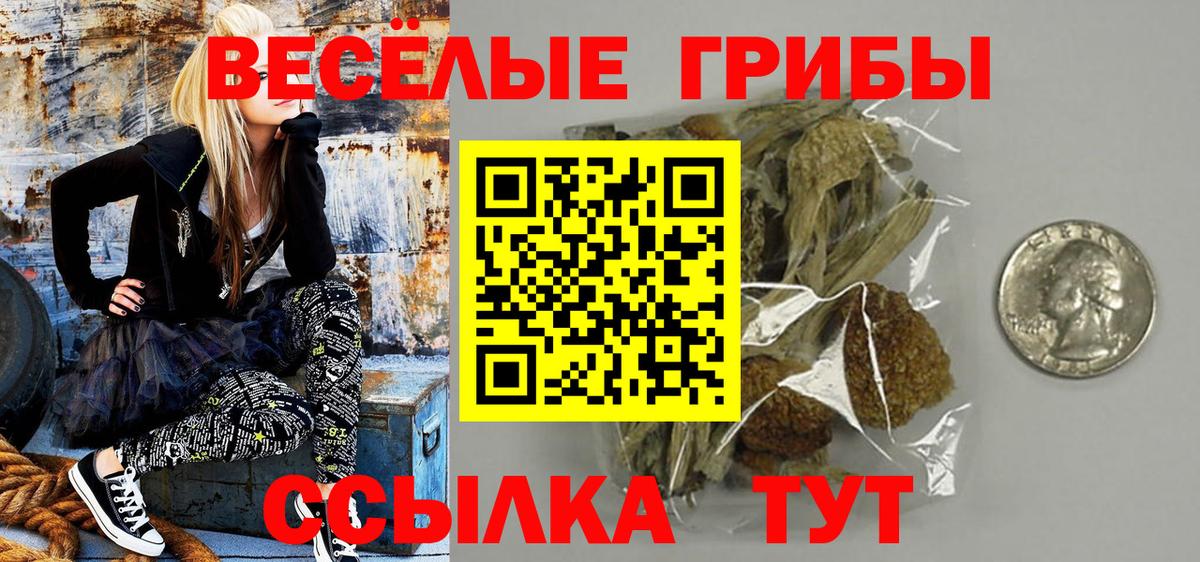 Галлюциногенные грибы ЛСД Котлас