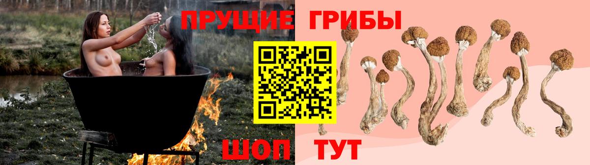 Котлас  Псилоцибиновые грибы мицелий  Вход с VPN 
